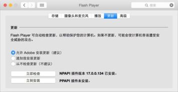 苹果flash player 官方下载,全面解答解释定义_交互版_v3.431