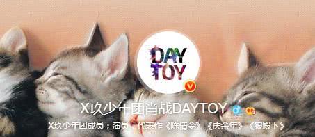 汤姆猫喂养版官方下载,实地评估说明|定制版_v4.800