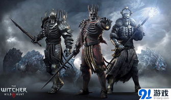 巫师3各版本,涵盖广泛的解析方法 10DM1_v7.684