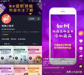 鸟吏鳖官 第4页