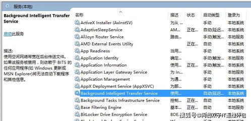 虫蚀鸟步 第5页