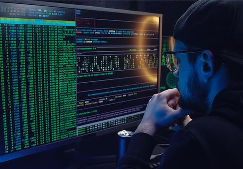 越鸟南栖 第4页