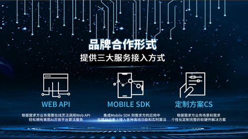 下载最强大脑官方下载,精细设计解析策略_Executive_v2.823