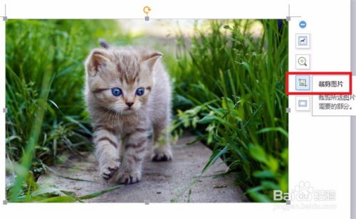 意气风发 第5页