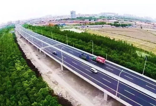 九死一生 第4页