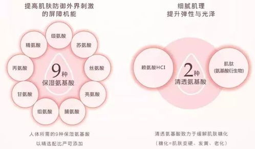 鸟革翬飞 第4页