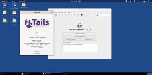 浏览器linux版本,持久性策略解析-视频版_v10.419