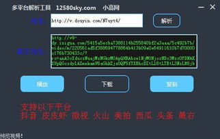 下载嘟嘟语音官方下载,快速解答计划解析 HT_v5.656