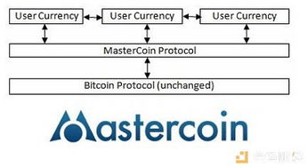 秒拍历史版本,实证解答解释定义_XT_v5.779