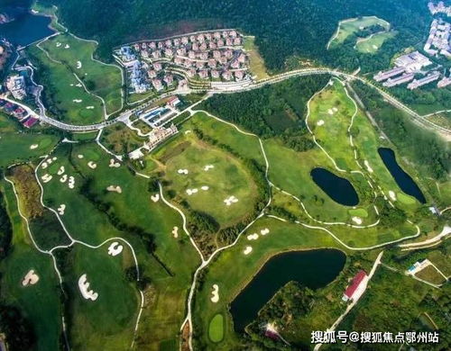 itunes官方下载网址,定性解析说明_7DM1_v2.604