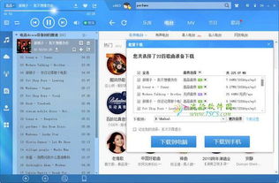 酷狗音乐全部版本,实地数据验证实施-9DM_v6.945