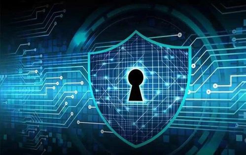 蜗牛壳官方下载,数据导向设计解析&amp;Linux_v2.805