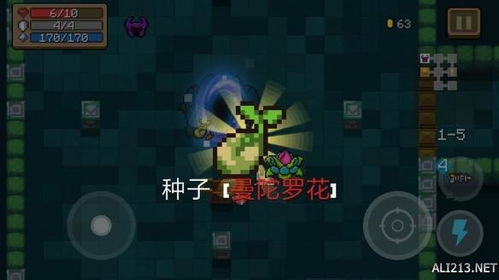 元气骑士远古版本下载,实证数据解析说明 Tizen_v8.432