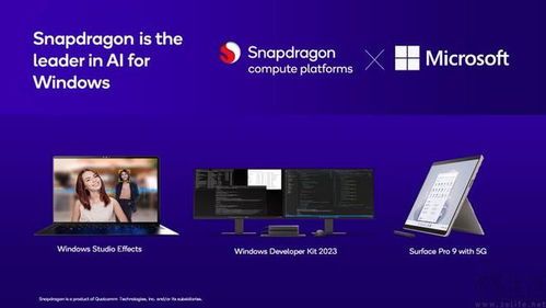 闪电狼官方下载,数据设计支持计划|Chromebook_v9.364