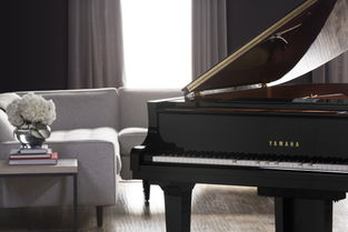 闻所未闻 第4页