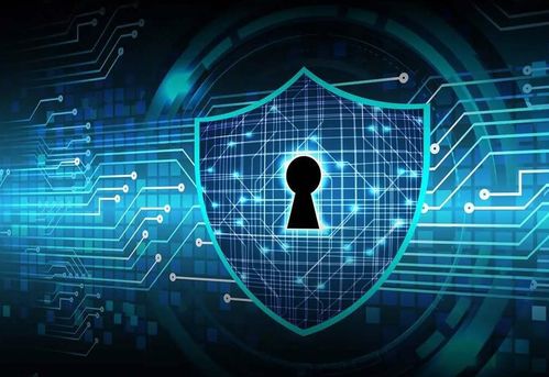 网络安全顾问眼中的新版米尔军情官方下载，深度分析与评测报告