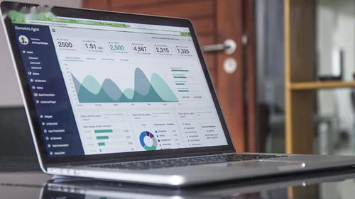 魅蓝最新版本,全面分析数据执行N版_v8.116介绍