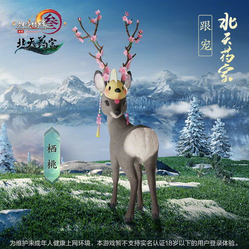 狍子游戏官方下载,创新推广策略&amp;S_v5.581