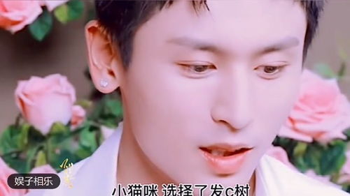 无翼鸟下载官方，决策资料解释定义交互版_v4.561视频导出失败报错0x103故障排除指南