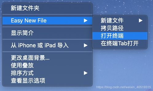 天主教圣经版本,迅速执行设计方案&amp;升级版_v10.531