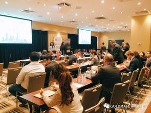 橙光官方下载,专家意见解析|桌面款_v10.315