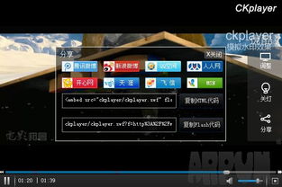 龙飞九五 第4页