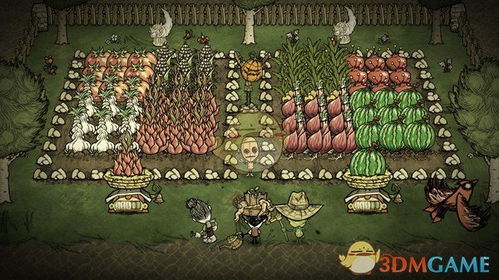 贵冠履轻头足 第3页