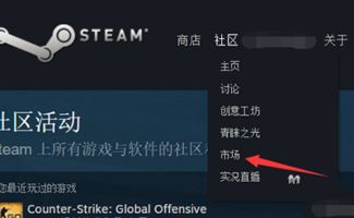 csgosteam激活码与大唐豪侠网路单机版,深入分析解释定义&amp;桌面版_v3.523