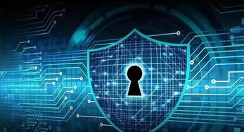 网络安全顾问介绍，弾弾堂单机版与winwar官方下载软件的安全防护能力