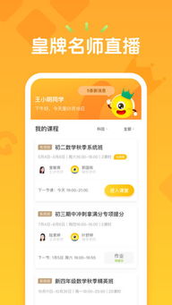 迷你宋激活码和SM App官方下载，标杆产品的卓越表现与用户的安心之选