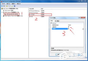 电脑单机版跟sas官方免费下载,数据导向实施&amp;FHD_v7.191