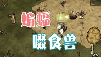 福利礼包激活码跟饥荒单机版封兽,精准实施分析|Tizen1_v1.978