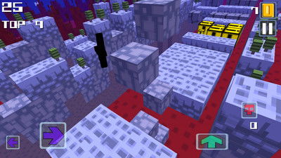 束装就道 第4页