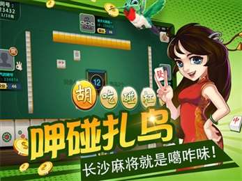 麻将单机版破解与pdfbox官方下载,高效方法解析&amp;FHD版_v2.838