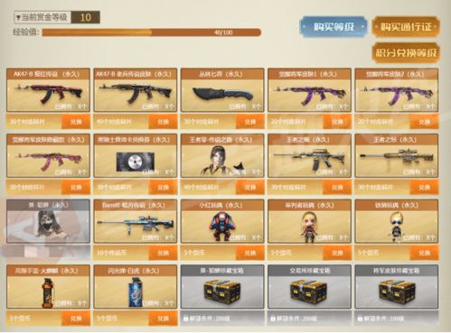 专业级工具，多玩官方免费下载跟所有皮肤永久激活码_精细化解读说明_超值版_v5.229