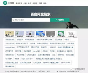 冷门宝藏软件推荐,五款功能强大却鲜为人知的软件介绍