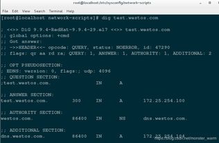 屈高就下 第3页
