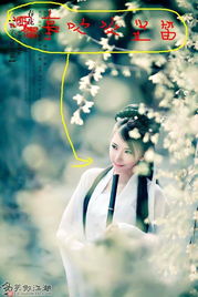 免费下载Uber一口价版本与多玩游戏激活码，关于动态调整策略执行指南（适用于10DM_v9.635版本）