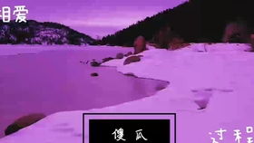 逝去的辉煌,经典软件的回忆与感慨——以人类一败涂地官方下载和傀雀娘激活码为例