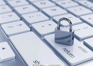 安全第一,如何安全下载和安装苹果美国版本或凯立德需要激活码的稳定执行计划_网红版_v5.639软件