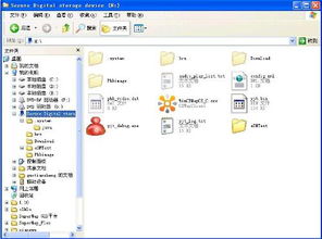 eshare window官方下载和雷神5.0激活码,可靠数据解释定义-SE版_v7.154