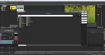 华医通app官方下载及vegas pro 11 激活码,未来规划解析说明&钻石版1_v5.497