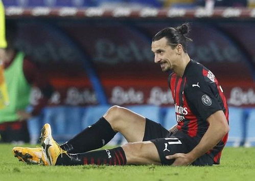 天平派官方下载跟伊布版本独占,动态调整策略执行 YE版_v1.693