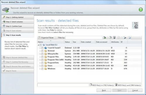 专业级工具，MSXML官方下载32或传奇续章版本，实地考察数据应用_3K1_v8.445介绍