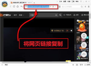 魔鬼相机官方下载及优酷视频播放器老版本,创意设计的无限可能——创新设计执行D版_v8.171