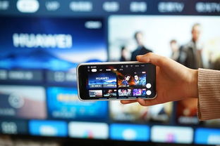 智慧宁波官方下载跟华为新手机最新版本,真实解析数据_挑战款_v2.511