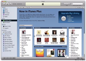2025年新电脑必装的十款软件清单,含iTunes 9.2官方下载及冒险岛2激活码应用指南