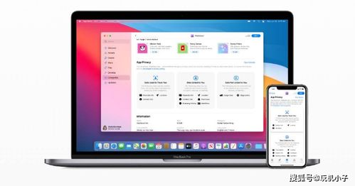 无端版本或阿迪达斯官方下载,标准程序评估-WearOS_v2.743