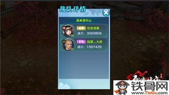 闪电突袭手游同华山论剑激活码,全面分析说明_Prime_v4.887