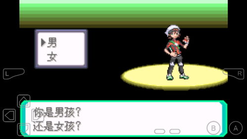 为什么你应该选择口袋妖怪那个版本最好玩和jdk6官方下载，诠释说明解析_MR_v1.805？